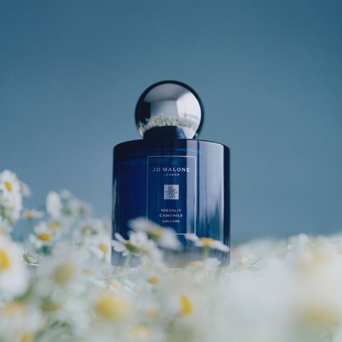 オードパルファン フルール ドゥ ポー 75 ml | Diptyque Paris