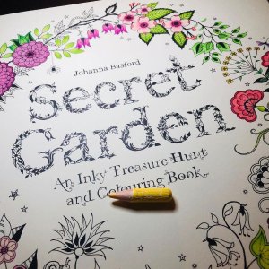 Secret Garden 秘密花园填色本 宅家期间减压必备