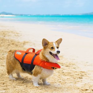 狗狗救生衣 带顶部抓握把柄 夏天带上宠物去游泳吧