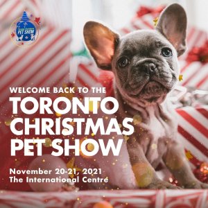11月20日-21日多伦多圣诞宠物博览会 开心撸个够