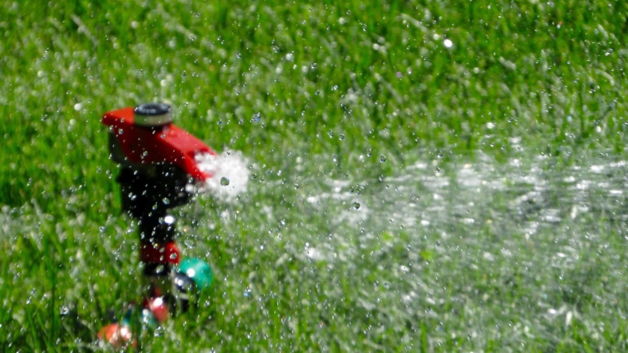 大温地区5月1日实施限水令！居民限时、限号给草坪浇水！违规浇水罚款高达250加元！