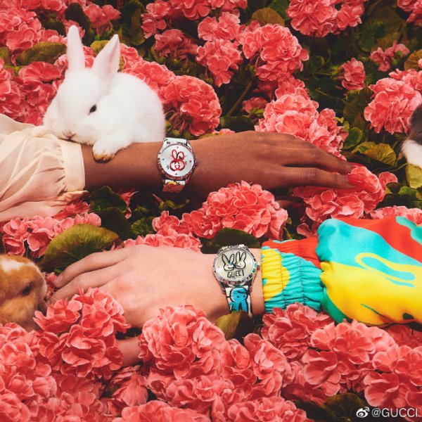 兔兔38mm手表