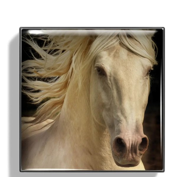 Wild Mustang 哑光眼影 2.5g (Various Shades)