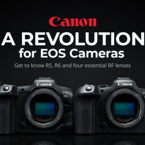 上新：Canon EOS R5 全画幅无反相机 8K30 Raw 预购 $6999起