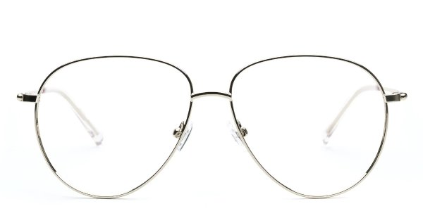 Gary 金属框眼镜