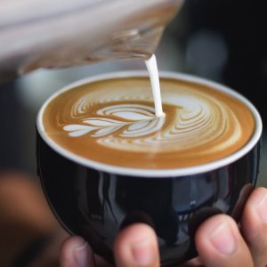 Bondi 培训中心 专业咖啡制作课程团购+证书