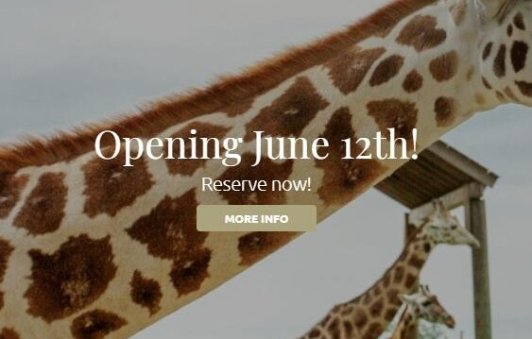 6月12日去Elmvale喂长颈鹿吧 可爱小动物等你萌来6月12日去Elmvale喂长颈鹿吧 可爱小动物等你萌来