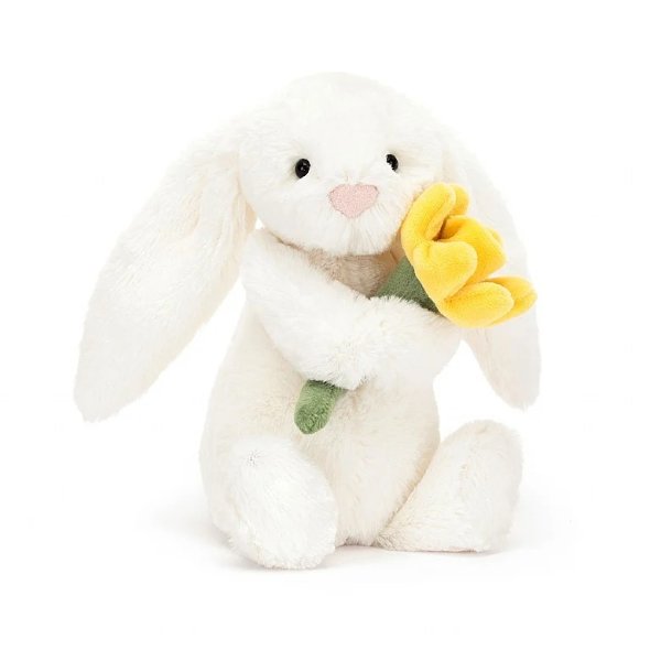 抱紧我的水仙花的小兔兔