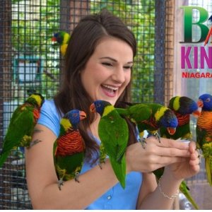 周末好去处 Bird Kingdom 全世界超大自由飞行室内鸟类乐园