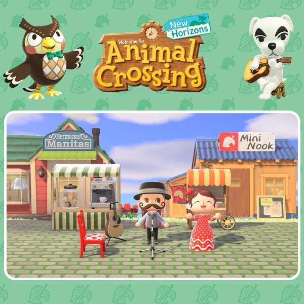 Nintendo Switch 《动物森友会》实体卡