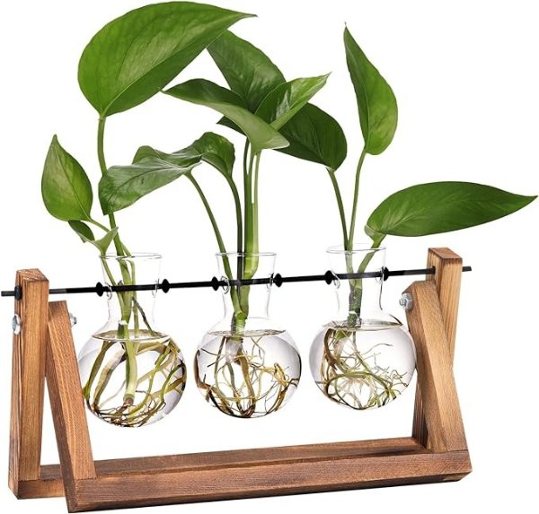  XXXFLOWER 植物玻璃容器+木架
