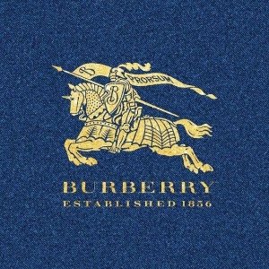 9折！Logo围巾 €288 速来！Burberry 专柜款星标解禁❗️抢蓝色战马系列、骑士包