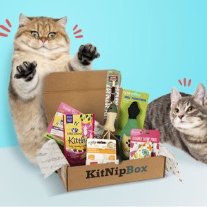 首次订阅得$15玩具KitNipBox 喵星人神秘订阅礼盒 每个月都能开盲盒！