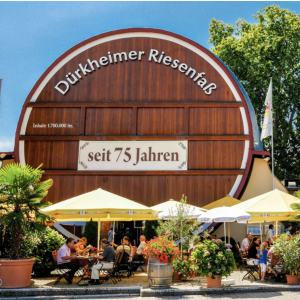 Dürkheim 全球最大葡萄酒节9月开启~嘉年华+德式节庆氛围~