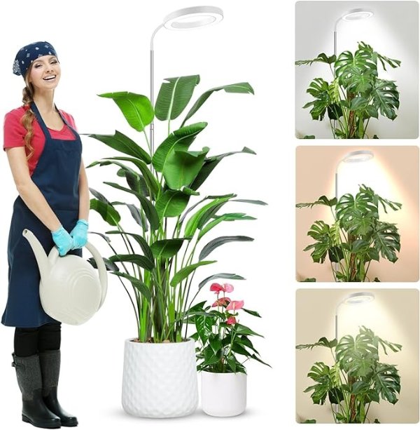 Wolezek 室内植物植物灯