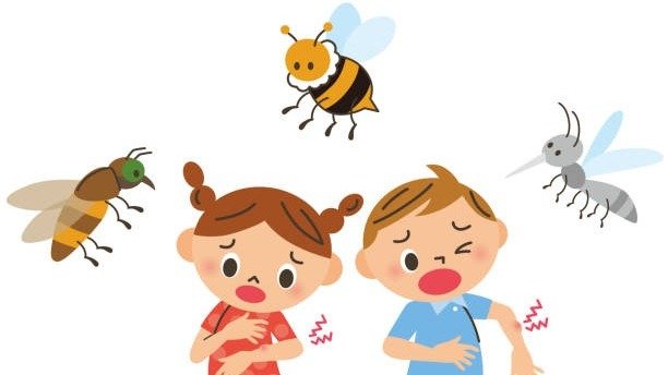 加拿大蚊虫叮咬攻略 - 床虫/蜱虫/恙螨/蜜蜂/红火蚁/蚊子/蜘蛛，怎么区分，症状和处理