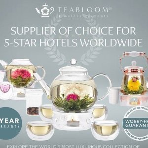 史低价：Teabloom 高颜值玻璃茶壶+暖茶座套装