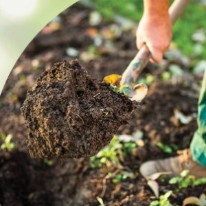 免费堆肥土 需提供居住证明🐑薅羊毛🐑：Halton区免费领堆肥土 为夏秋园艺做好准备！