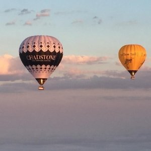 墨尔本 Liberty Balloon Flights热气球飞行体验