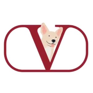 上新：Valentino 优雅鞋包专场 铆钉鞋、小白鞋、翻盖包等