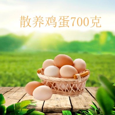 散养鸡蛋（700g/盒）