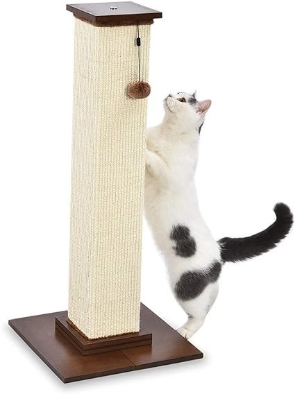 Amazon Basics 大型优质高猫抓板 - 16 x 35 x 16 Inches, Wood