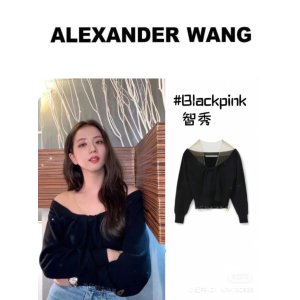 Alexander Wang网纱针织上衣