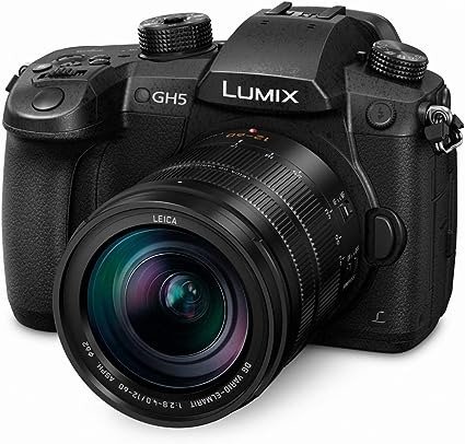 Panasonic LUMIX GH5 4K 无反相机+12-60焦段F2.8镜头
