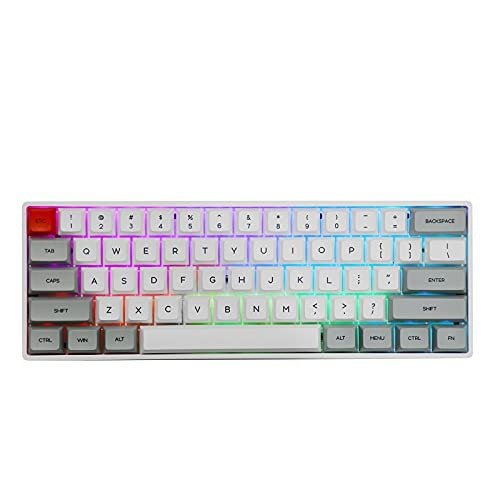 SKYLOONG SK61 61 Keys Hot Swappable Mechanical Keyboard with RGB Backlit, NKRO, IP6X Waterproof, Type-C Cable for Win/Mac/Gaming (Gateron Optical Red, Grey)