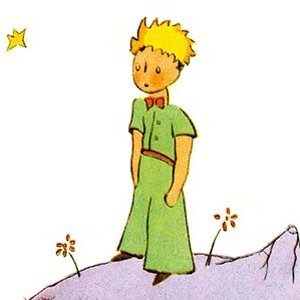 €4.99 治愈系神书好书推荐 The Little Prince 小王子双语版 写给成年人的童话