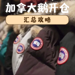 2026 加拿大鹅开仓汇总攻略 时间地点全整合