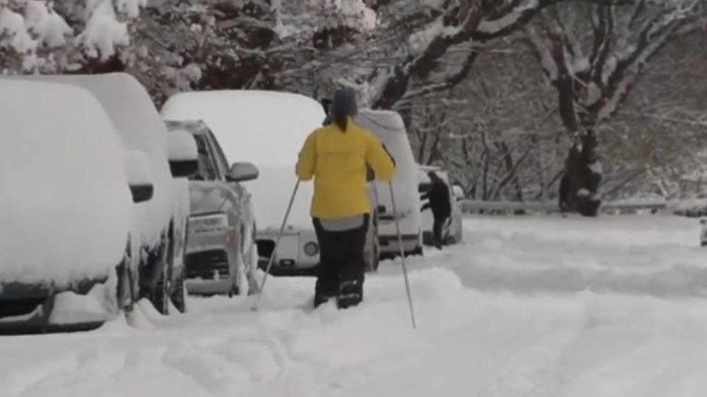 雪中作乐？大雪攻陷温哥华却乐坏滑雪爱好者！竟在未清理的大雪街道上享受滑行！