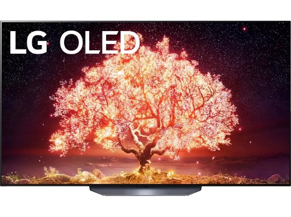 OLED TV LG OLED65B19LA OLED 电视