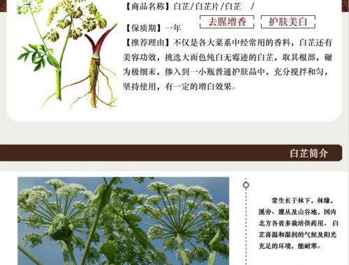 现代药理研究证明,白芷除了具有解热,镇痛,抗炎等作用,还能改善局部