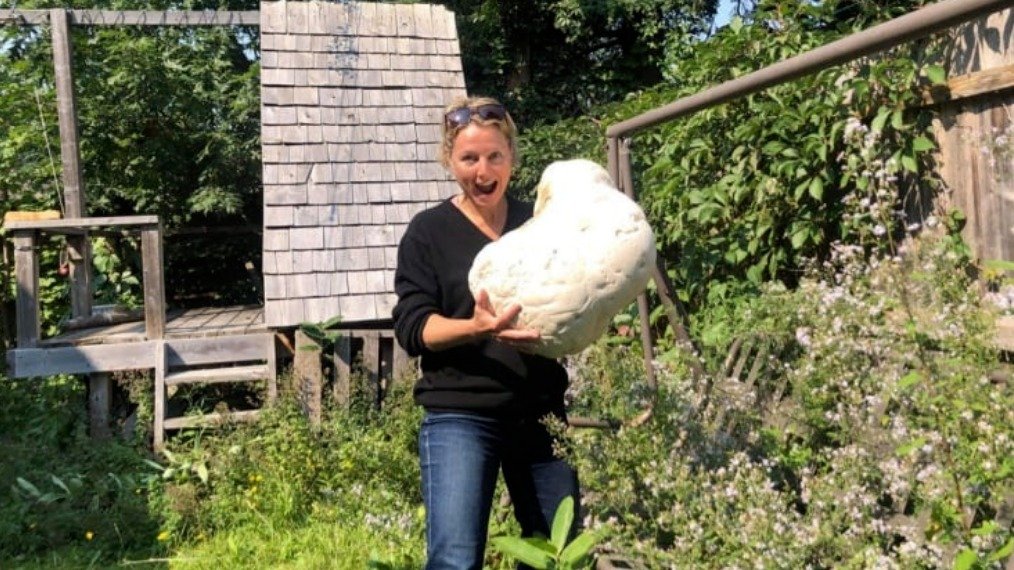 加拿大女子在自家后院发现巨型蘑菇！足足6公斤，吃1周都没吃完！