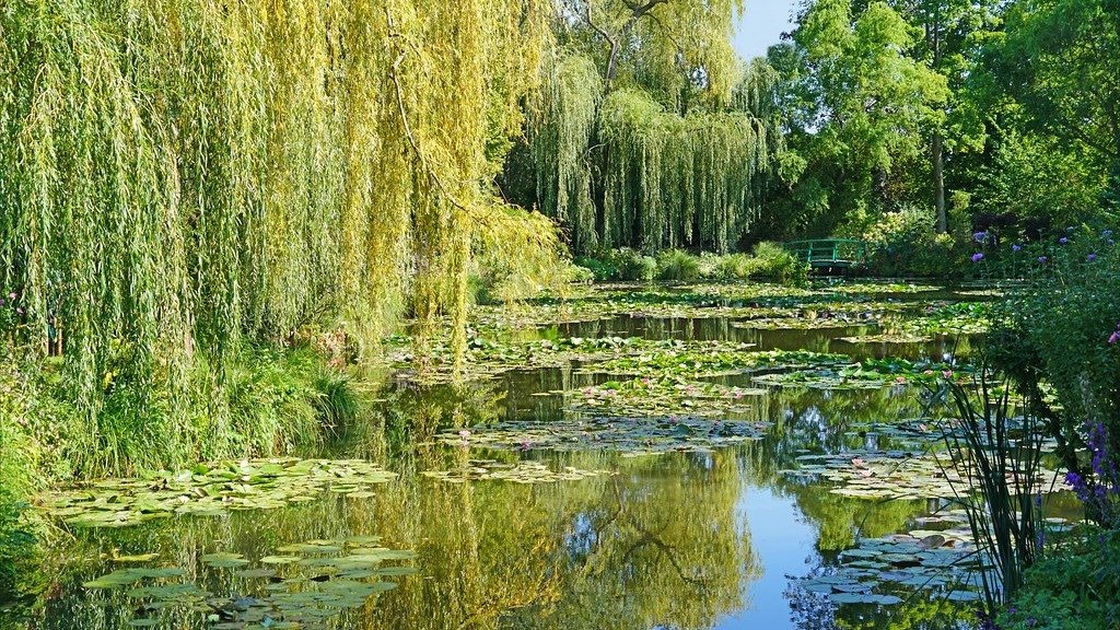 莫奈花园旅行攻略｜地址、票价、开门时间等信息；莫奈花园怎么玩和景点简介等｜Fondation Claude Monet
