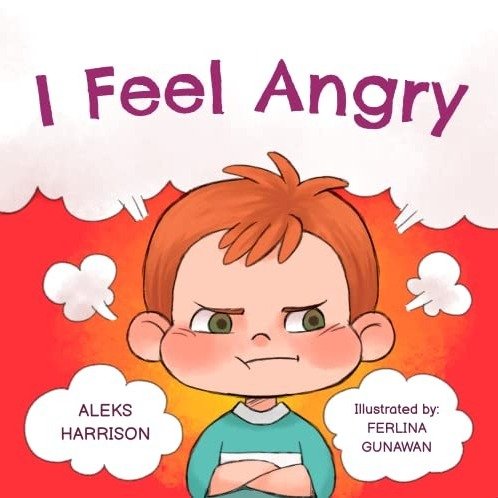 I Feel Angry 《我感到生气》儿童情绪管理绘本