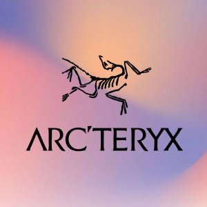 全年蕞强！Arc'teryx官网 始祖鸟清仓🐦Beta跌下神坛€272