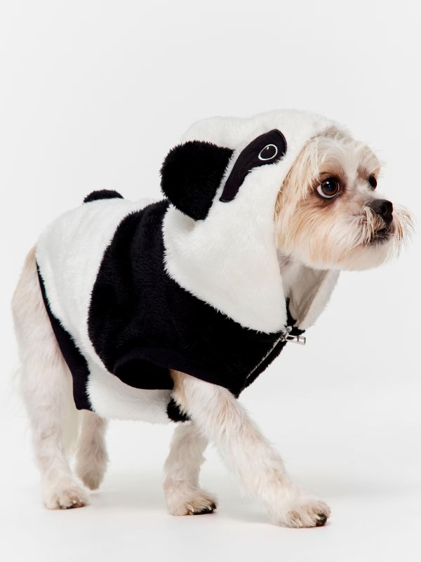 熊猫小狗衣服