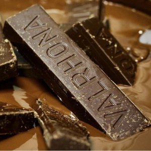 全球五星主厨们共同推荐的巧克力Valrhona法芙娜