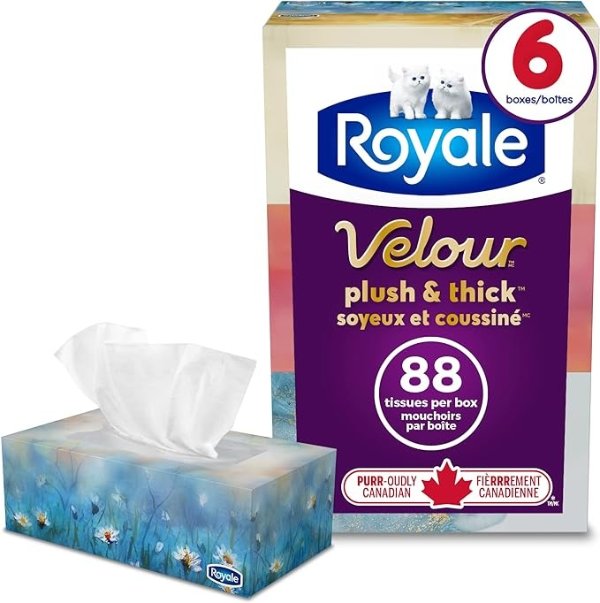 Royale 3层面巾纸6盒x88张