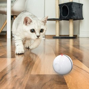 史低价：DELOMO 充电款智能自动逗猫球 猫猫自嗨神器