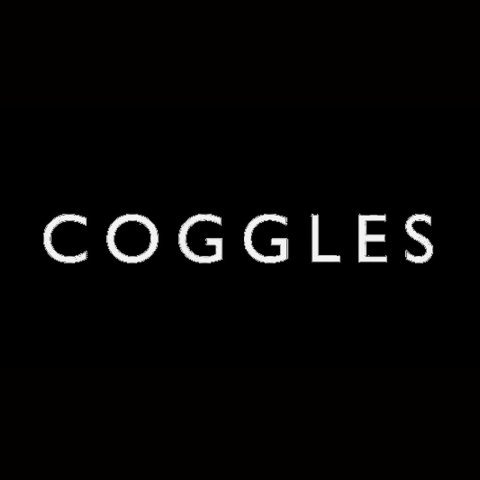 Coggles best sale golden goose