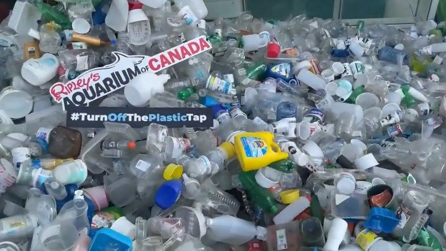 环保生活从大家做起！禁塑令年底将生效！塑料袋、外卖盒、塑料餐具和吸管一律被禁！