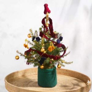 Bloom&Wild 迷你圣诞树超值价 在家过个超温馨的圣诞节吧