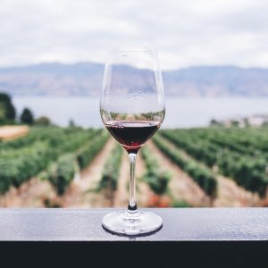 超美秋季葡萄酒精选 新用户订阅立减€10 内附介绍以及饮用建议