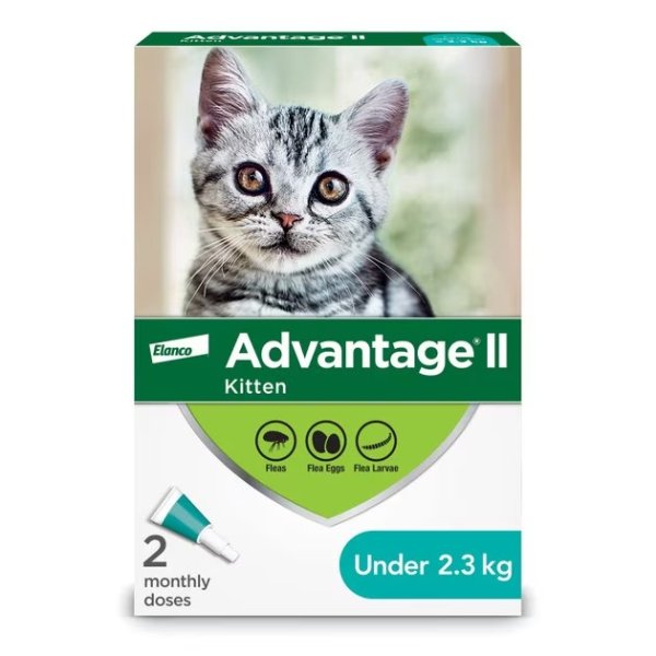 Advantage II 跳蚤治疗小猫，2.3 公斤及以下