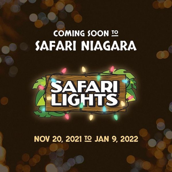 Safari Niagara野生动物园儿童票