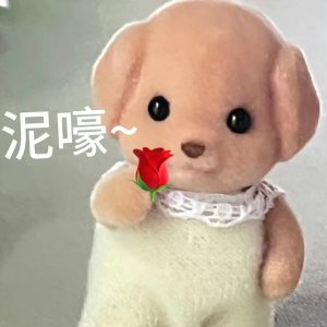 打败Jellycat？新顶流森贝儿家族热卖 可爱小鼻嘎萌鼠啦🥺