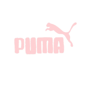 PUMA  logo潮袜$1.99、宣美类似款$33.74、粉毛绒拖$33.75